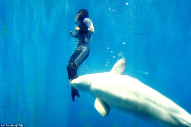 Как дельфин человеку жизнь спас (3 фото)