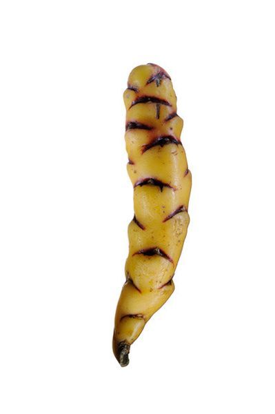 Как выглядит картофель в Перу и Боливии (19 фото)