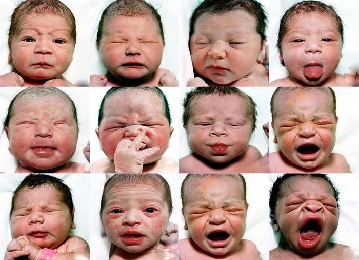 Портреты новорожденных (25 фото)