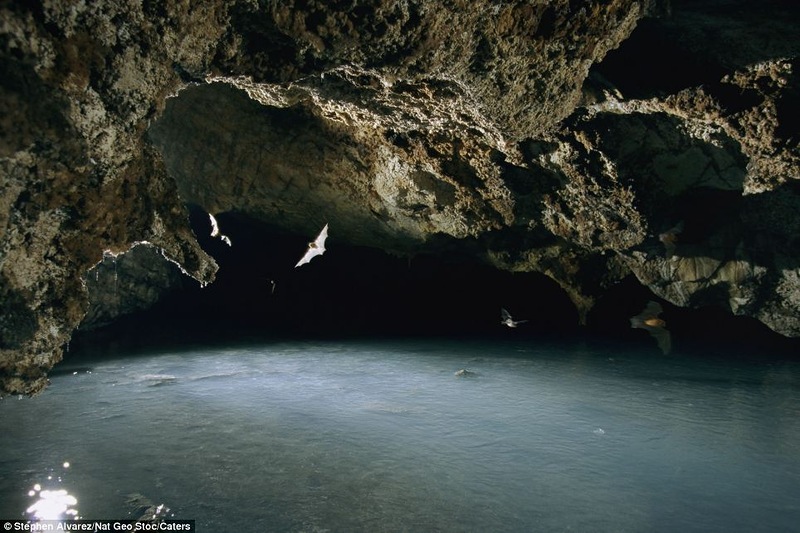 Загадочный рисунок в пещере (7 фото)