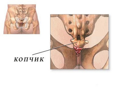 Бесполезные органы человеческого тела (6 фото)