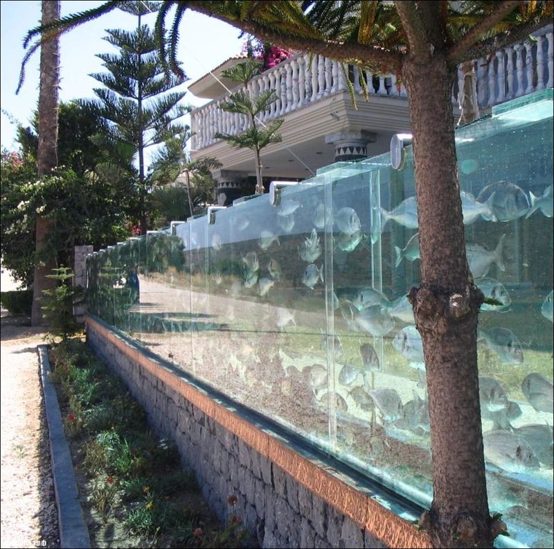 аквариум, турция