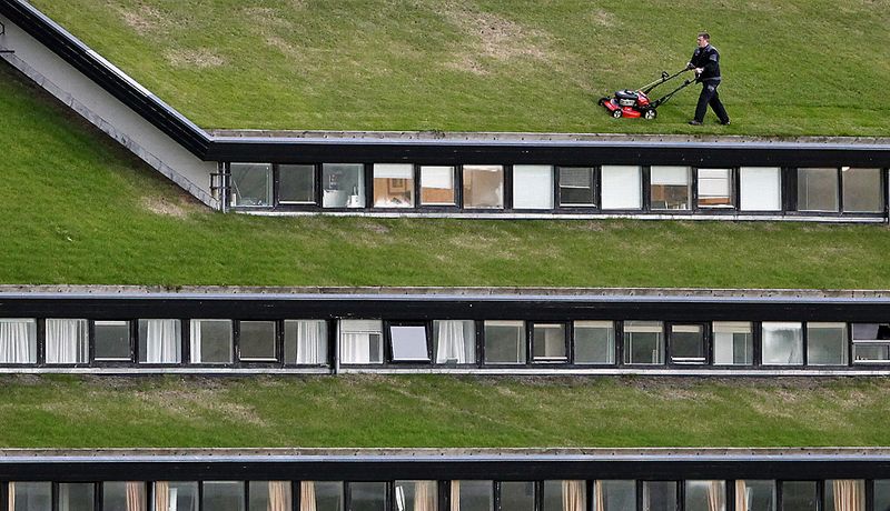 50) Рабочий стрижет газон на крыше правительственного здания недалеко от Торсхавна, столицы Фарерских островов, четверг. (Bob Strong/Reuters)
