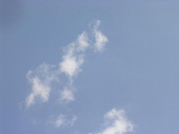 Облака лошадками (16 фото)