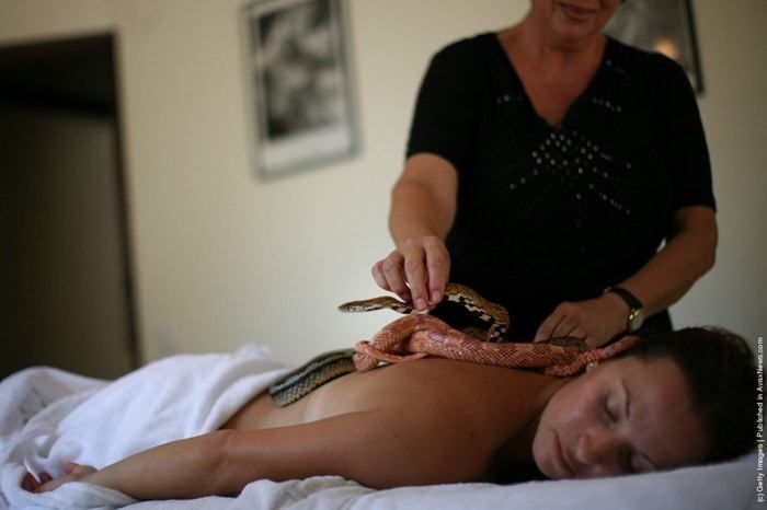 Змеиный массаж   (12 Фото)