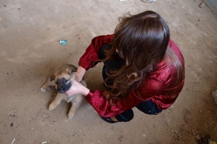 Девушка из Татарстана ради фотосессии убила щенка (6 фото)
