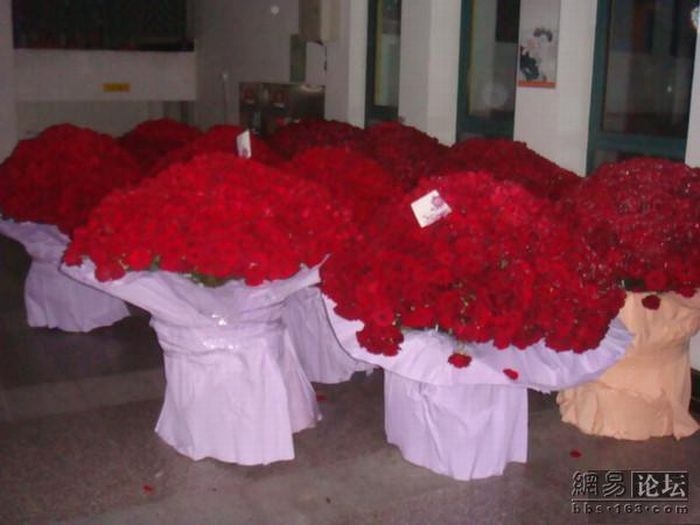 10 тысяч алых роз (8 фото)