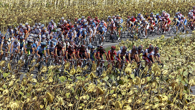 Велогонщики проезжают мимо поля подсолнухов во время девятого этапа испанской велосипедной гонки «Vuelta», которая начинается с испанского города Vuelta и заканчивается в Xorret del Cati.
