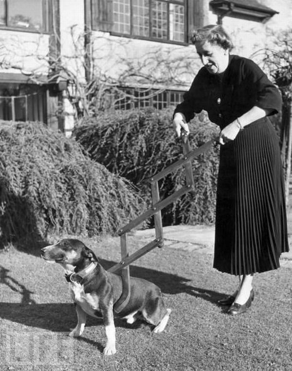 Собаколовка, 1940
