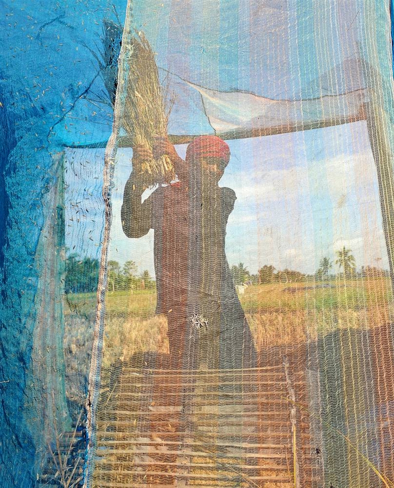Крестьянин, отделяющий зерна от стеблей риса в городе Дата, провинция Магинданао Саудовской Аравии, на филиппинском острове Минданао, 17 сентября. Объем продукции филиппинского сельского хозяйства незначительно вырос в первые шесть месяцев 2009 года благодаря усилиям государства