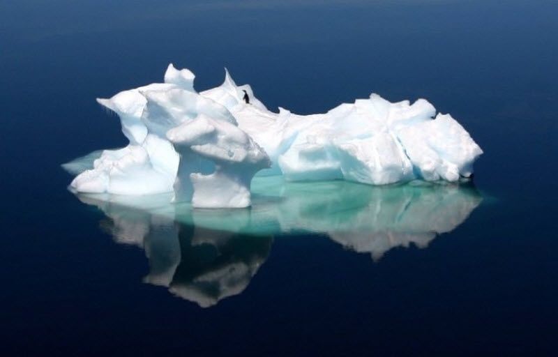 9. Одинокий пингвин ходит по айсбергу в Антарктике. (Lonely Planet's 100 Million Competition / Raphael)