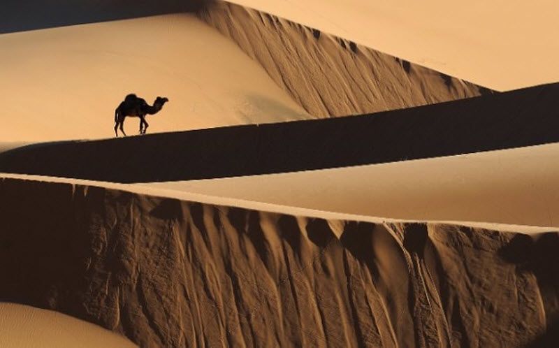 18. Вечер среди песчаных дюн Мерзоуга в Марокко. (Lonely Planet's 100 Million Competition / Eddy van Ryckeghem)