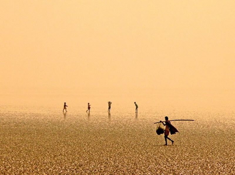 28. Чандипур в Ориссе – один из самых уникальных пляжей в Индии. Морская вода приходит сюда один раз в день. (Lonely Planet's 100 Million Competition / Partha Pal)