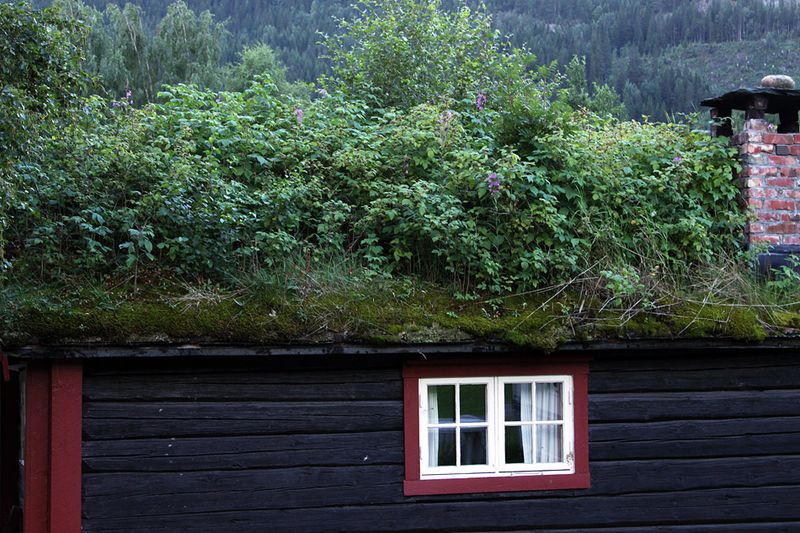Как и все скандинавские страны, Норвегия жила и живет в ладу с природой. Скандинавы гордятся тем, что приспосабливаются к природе, а не покоряют её. 