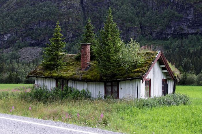 Норвежские крыши  (12 фото + текст)