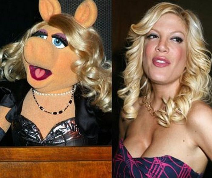 Куклы из Muppet Show и знаменитости двойники (30 фото)
