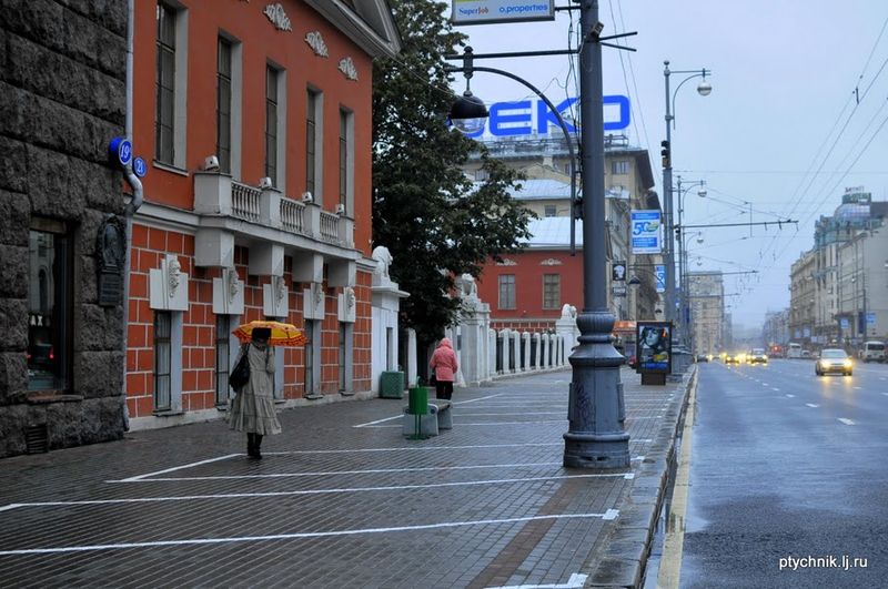 Почему в Москве можно парковаться на тротуарах (21 фото)