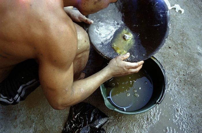 Добыча золота в Колумбии (31 фото)