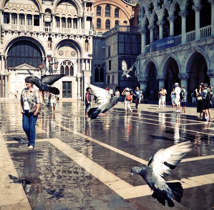 Венеция тонет (31 фото)