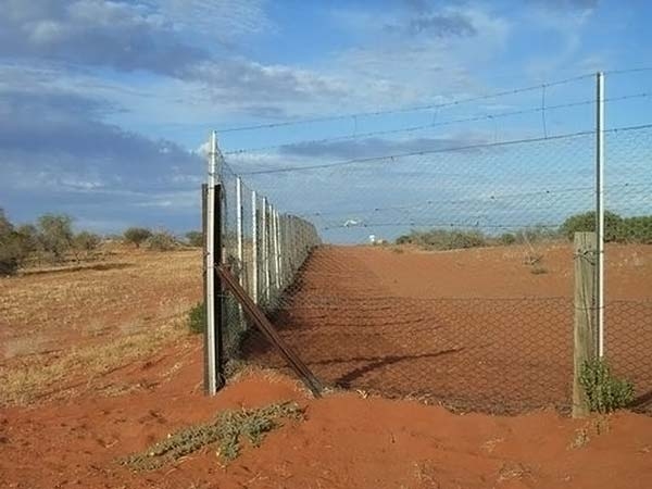 Самый длинный забор в мире (12 фото)