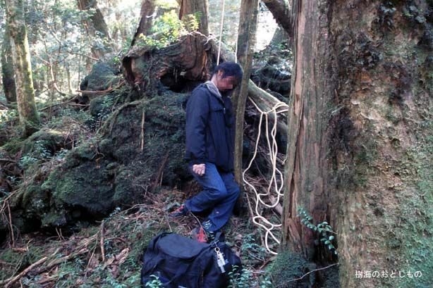 Аокигахара Дзюкай-лес самоубийств (19 фото)