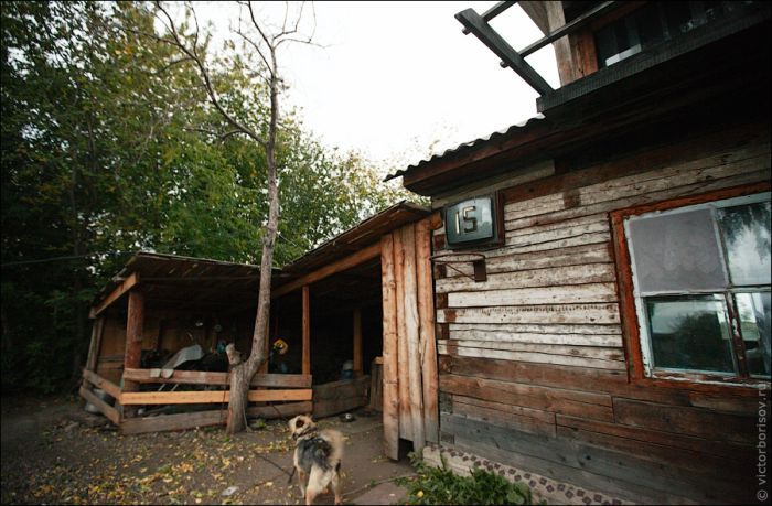 Дом-ковчег в Кемерово (9 фото)
