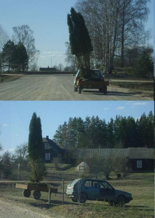 Такое возможно только в Латвии (47 фото)