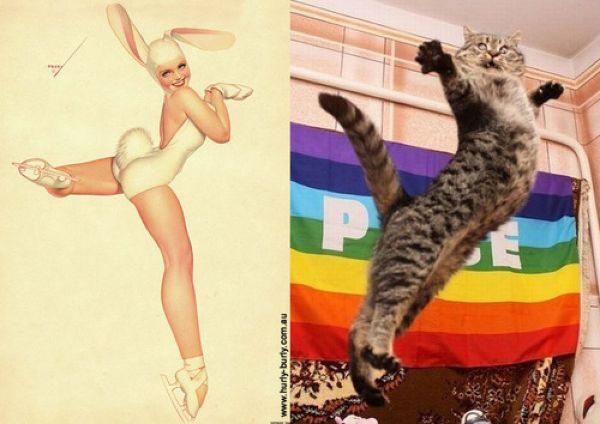 Коты позируют в стиле девушек с пинап-плакатов (19 фото)
