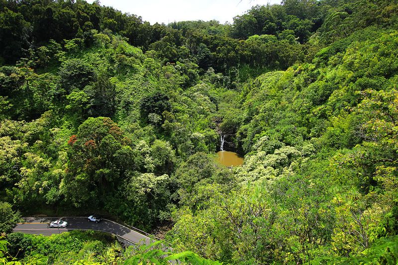 Сады на острове Мауи (32 фото)