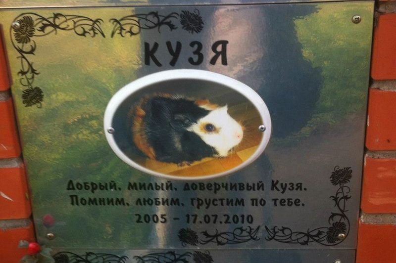 Кладбище домашних животных в Подмосковье (24 фото)