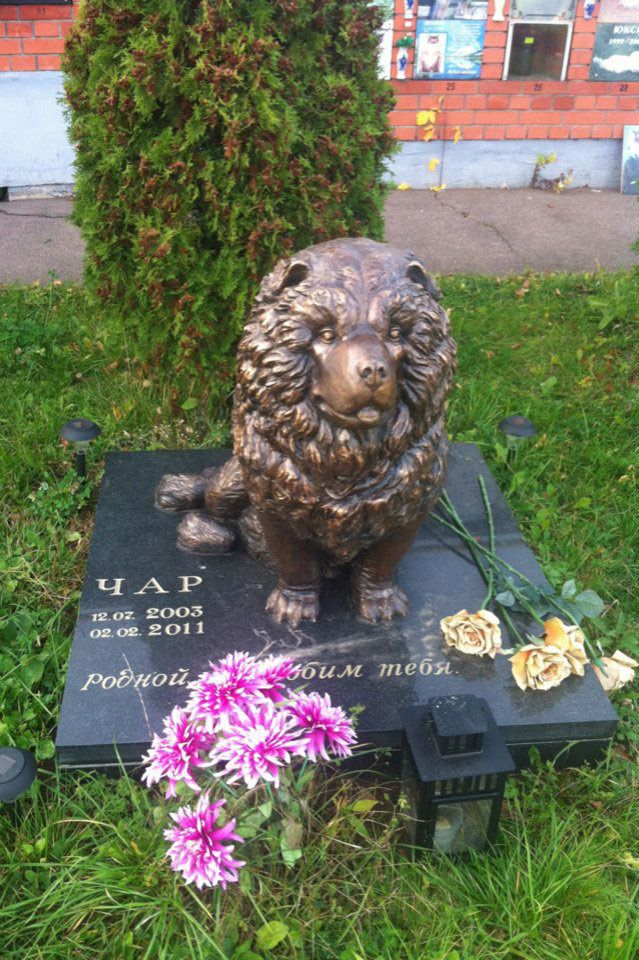 Кладбище домашних животных в Подмосковье (24 фото)
