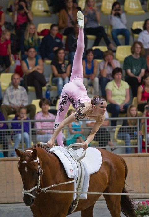 Акробатика на лошадях (10 фото)