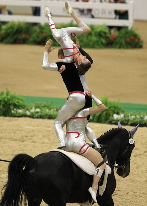 Акробатика на лошадях (10 фото)