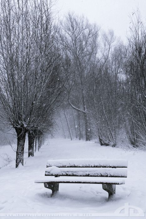Красивые зимние фотографии (31 фото)