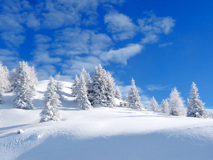 Красивые зимние фотографии (31 фото)
