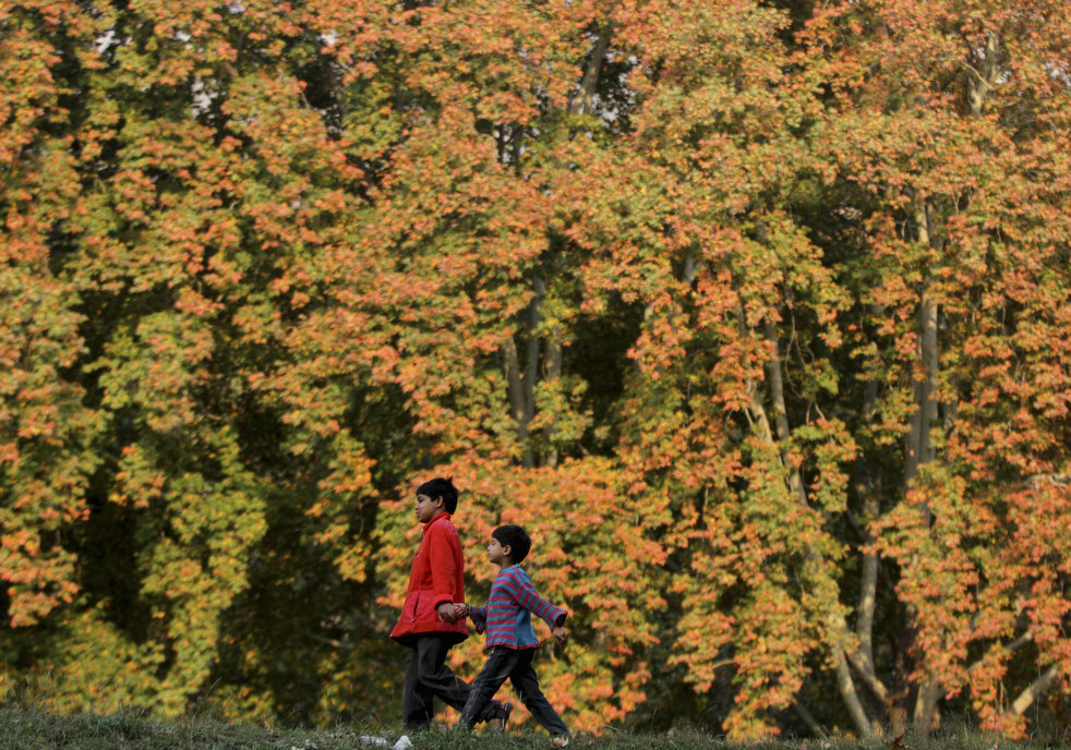 Осенние краски (27 фото)