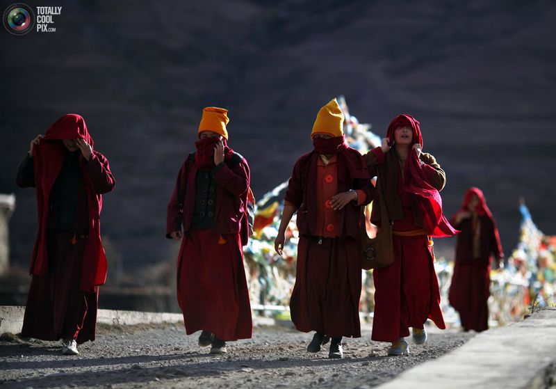 Тибетские буддистские монахини (23 фото)