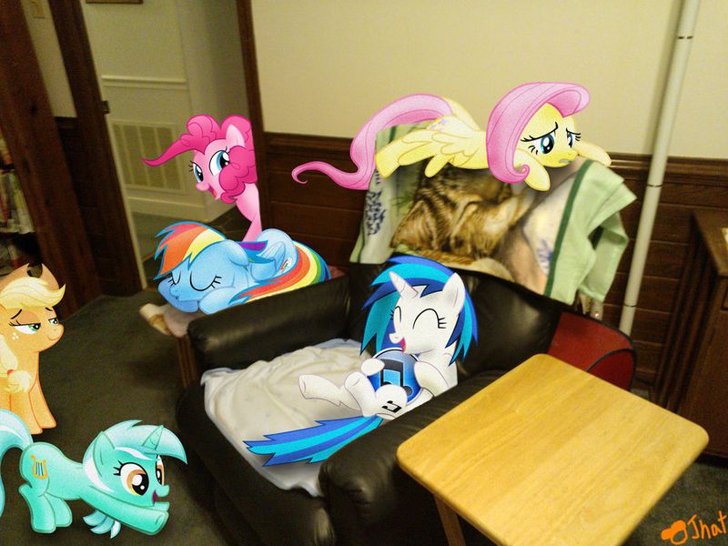 Фанаты My Little Pony прифотошопили любимцев в свою жизнь (23 фото)