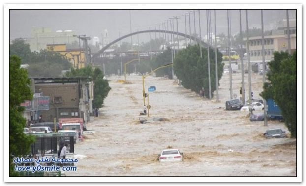 Последствие наводнения (35 фото)