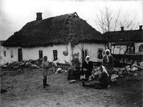 Деревня и колхозы в СССР (25 фото)