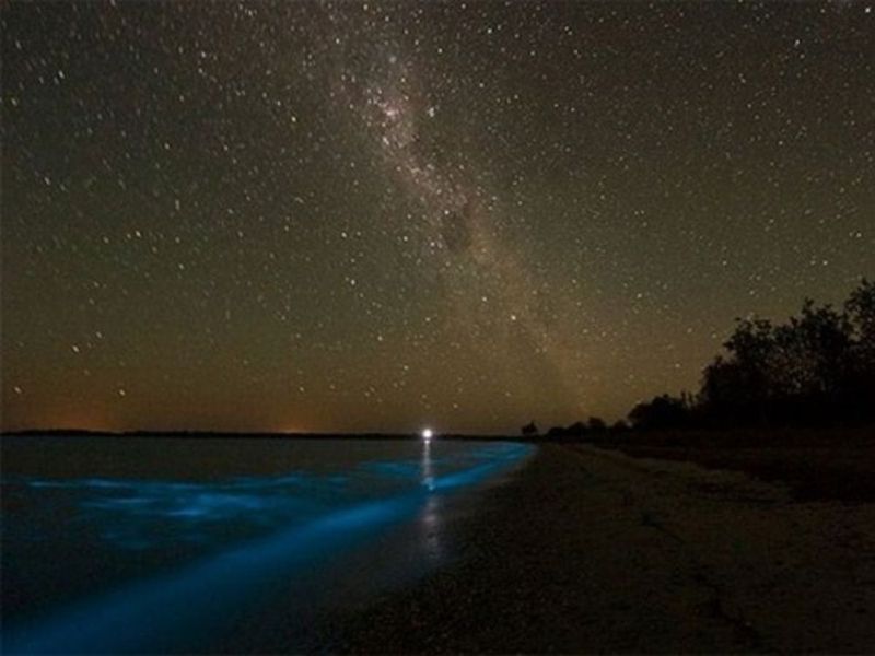 Светящиеся озера Австралии (7 фото)