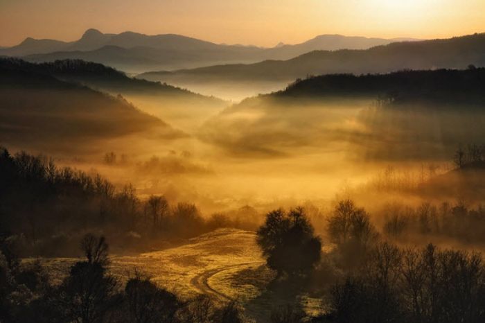Очень красивые фотографии тумана (101 фото)