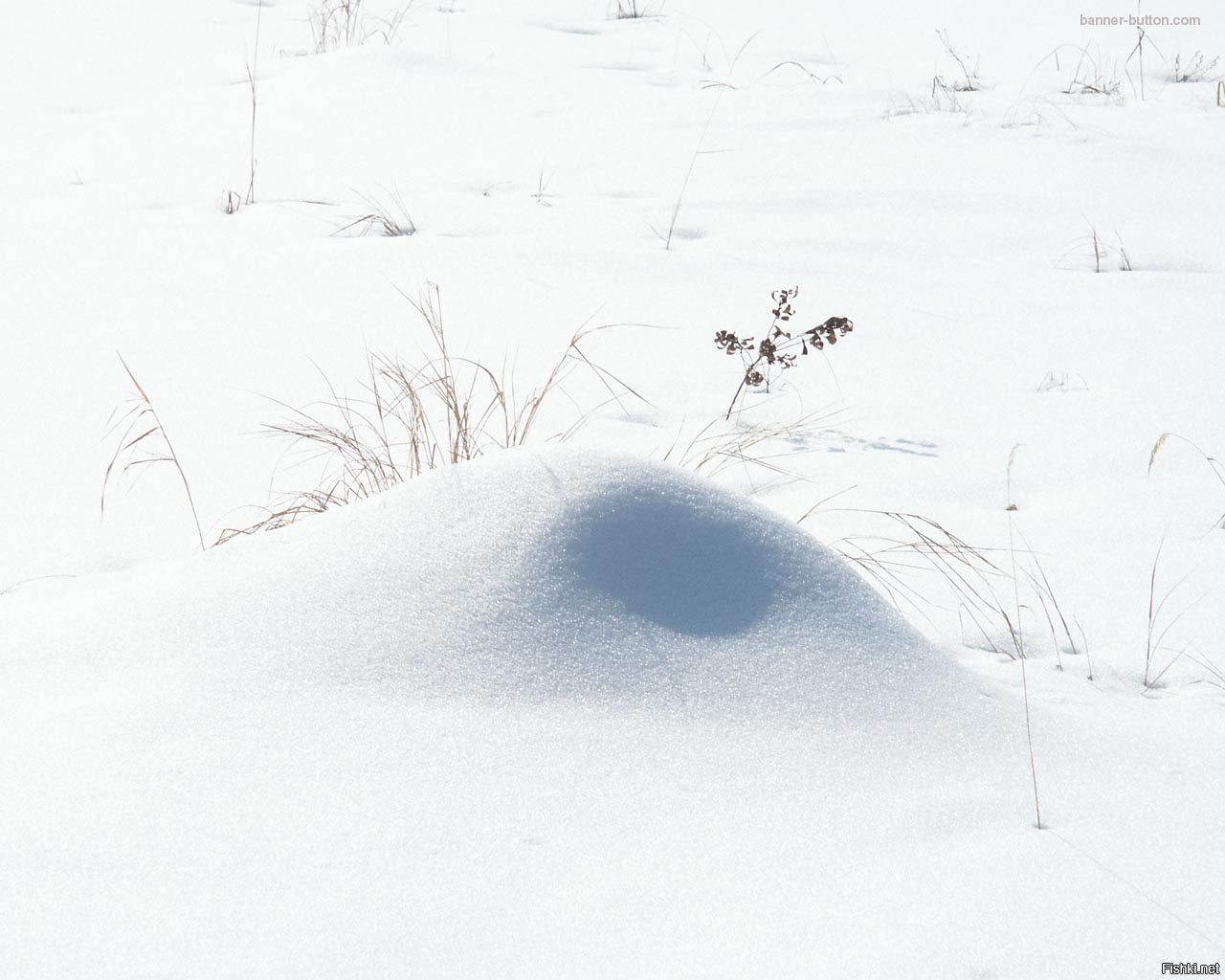 Сугроб картина. Снег сугробы. Ребенок в сугробе. Сугробы рисунок. Холмик снега.