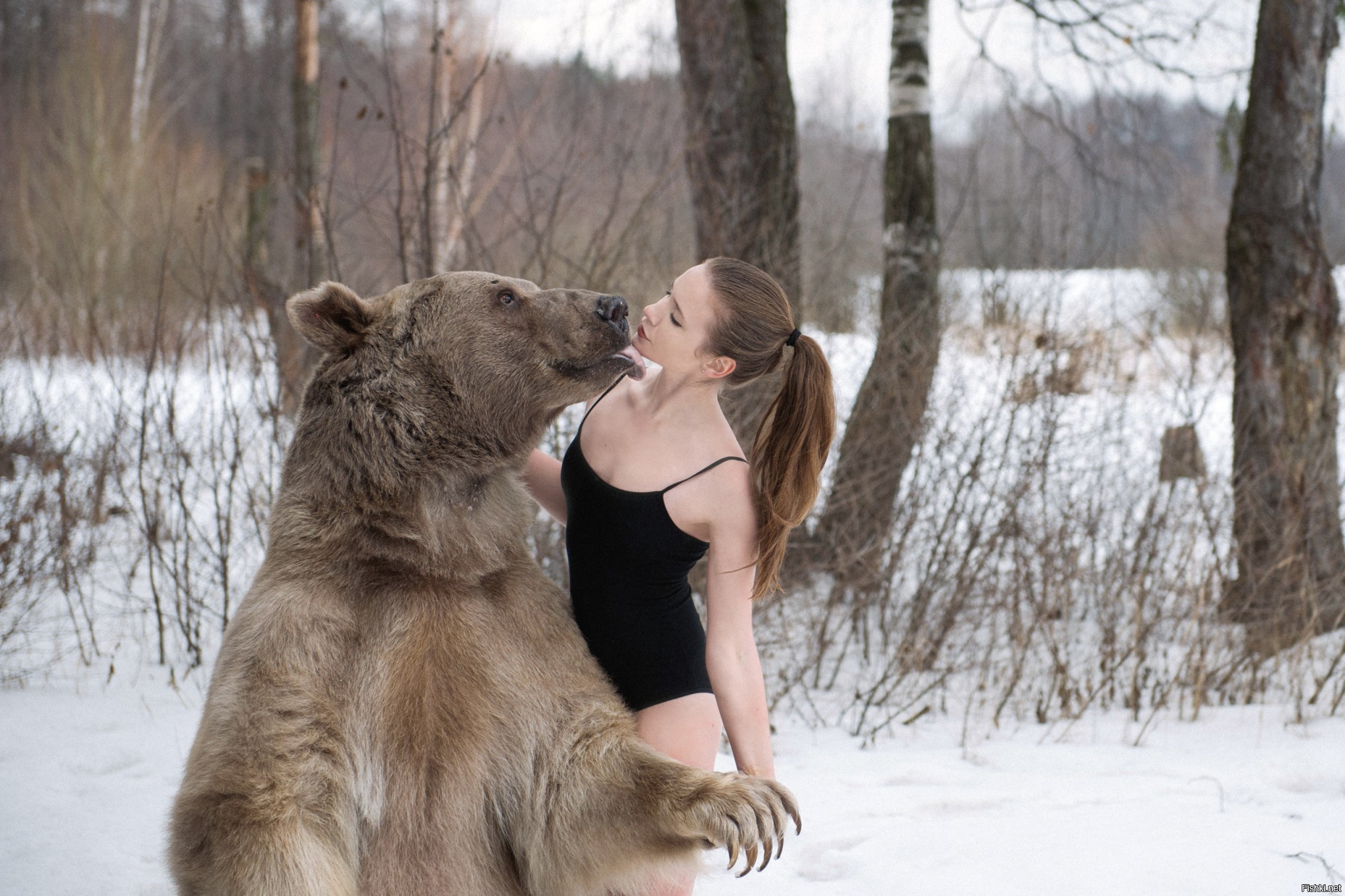 Блоггер медведь. Ольга Баранцева и медведь Степан. Фотосессия медведь Степан Мария Фетисова. Алексей медведь. Девушка в объятиях медведя.