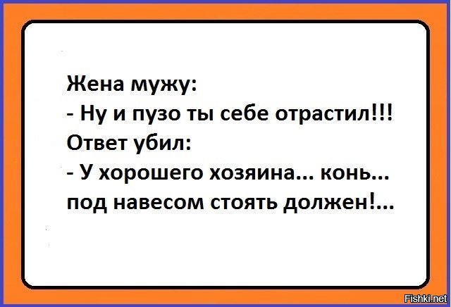 Ответ мужа. Конь под навесом стоять должен анекдот. Конь под навесом прикол. Про коня под навесом шутки. Анекдот у хорошего хозяина конь должен стоять под навесом.