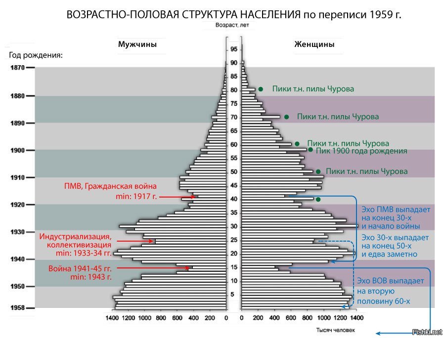 Социальная структура населения. Половозрастная пирамида 1959. Половозрастная пирамида РСФСР 1959. Половозрастная пирамида населения Великого Новгорода 15 января 1959 г.. Перепись населения СССР 1959 Половозрастная пирамида.