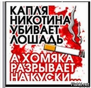 Картинка капля никотина убивает лошадь