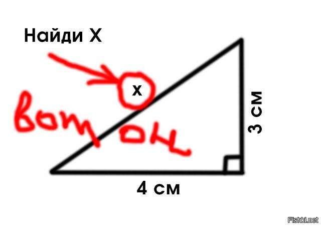 Найдите х по рисунку