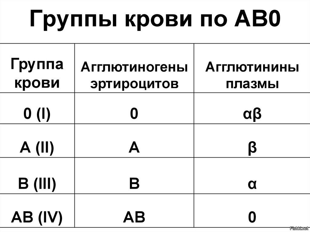 Группы крови человека картинка