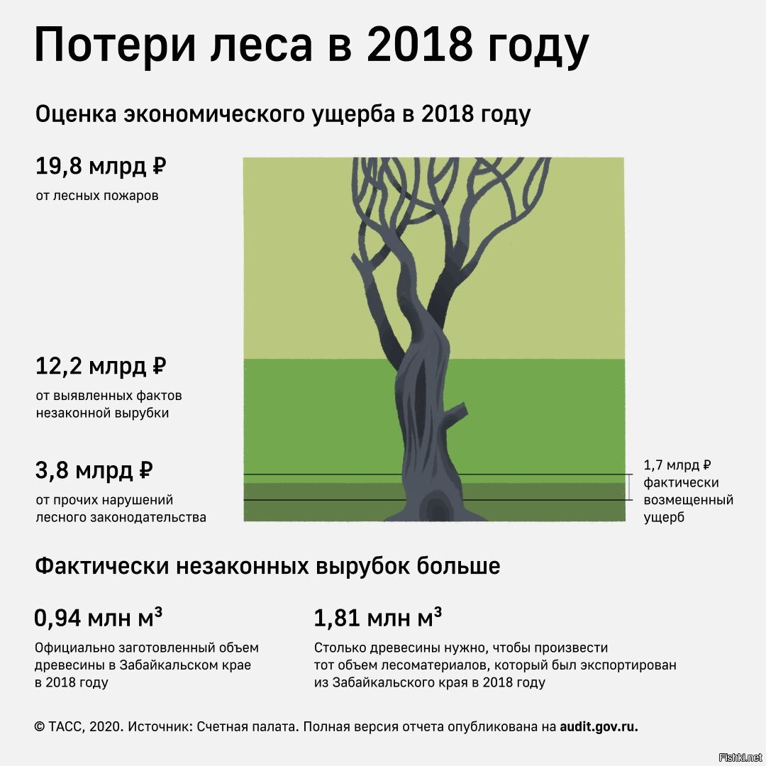 Сколько процентов деревьев. Вырубка леса в России статистика 2019. Вырубка лесов в России 2020. Вырубка лесов диаграмма 2020. Статистика вырубки лесов в России.